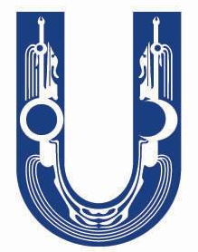 Юнайтед Менежмент Консалтинг